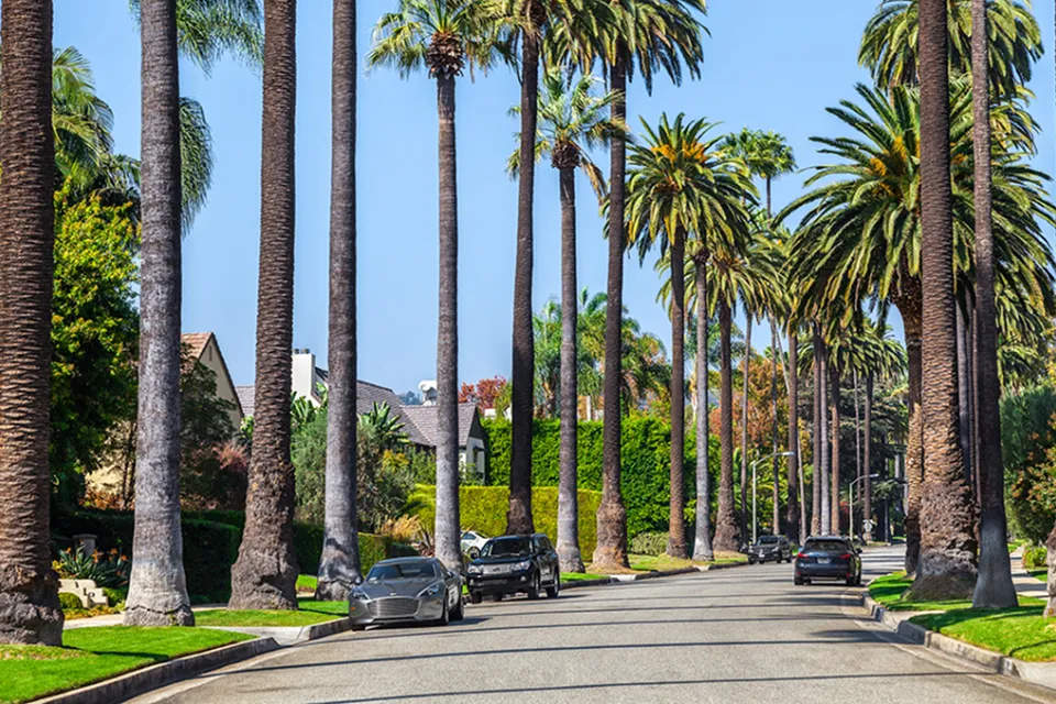 Los Angeles Residential Street
